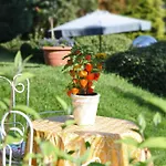 Apartman Strandhaus Ott Hagnau