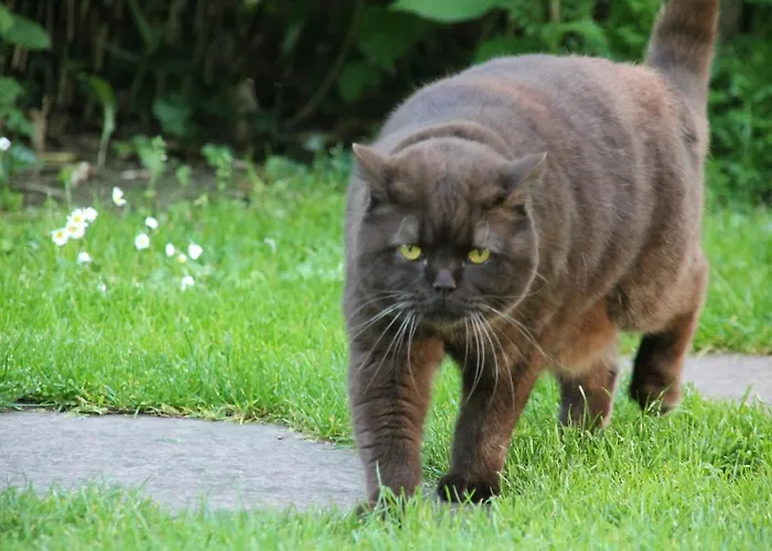 Strandhaus Ott Apartamento Hagnau