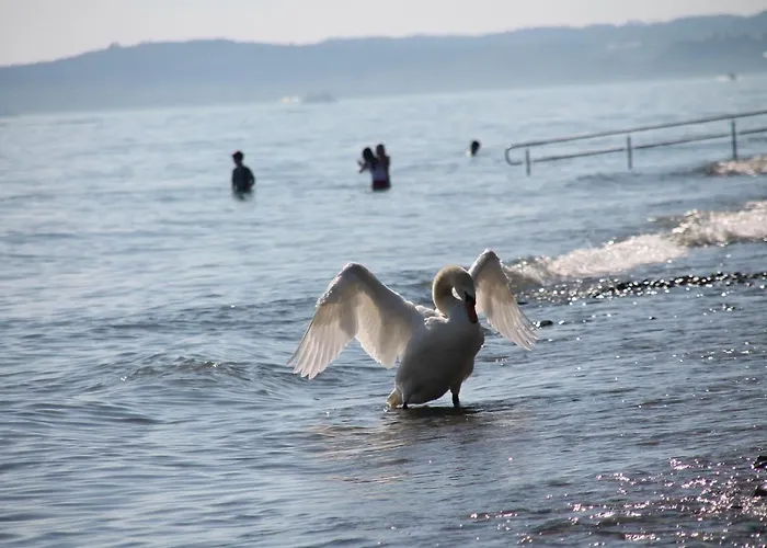 Apartment Strandhaus Ott